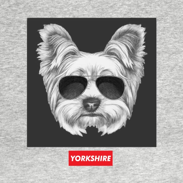 Yorkshire Terrier by robertromanian